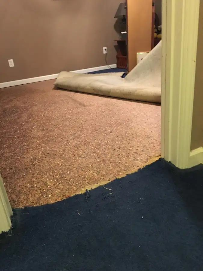 Carpet pad removal revealing water damage during Water Mitigation Services in Brainerd
